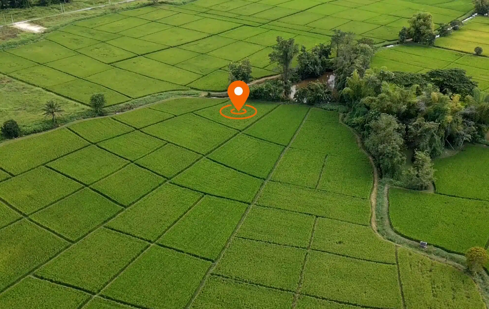 Beautiful 852 Sqw Land For Sale In Chiang Mai, Thailand Losoland
